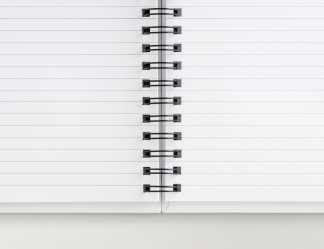 Dream Plan Hustle Bloom | Fairy-Inspired Notebook – Hardcover or Softcover