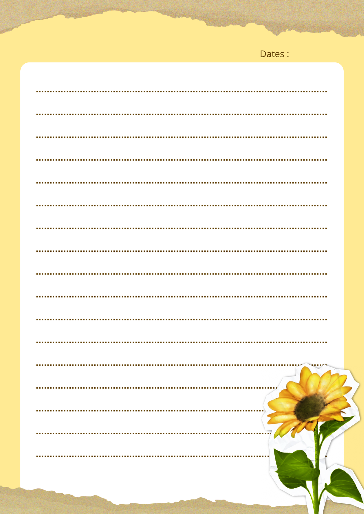 Chasing Sunshine Collection: Golden Thoughts