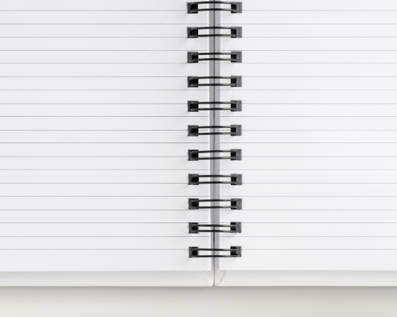 Dream Plan Hustle Bloom | Fairy-Inspired Notebook – Hardcover or Softcover