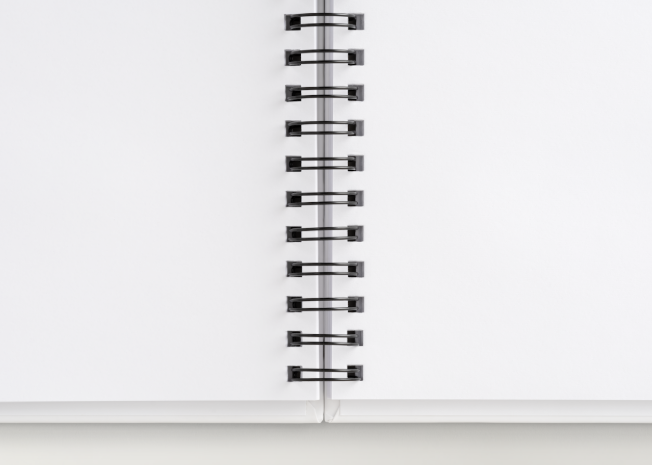 Dream Plan Hustle Bloom | Fairy-Inspired Notebook – Hardcover or Softcover